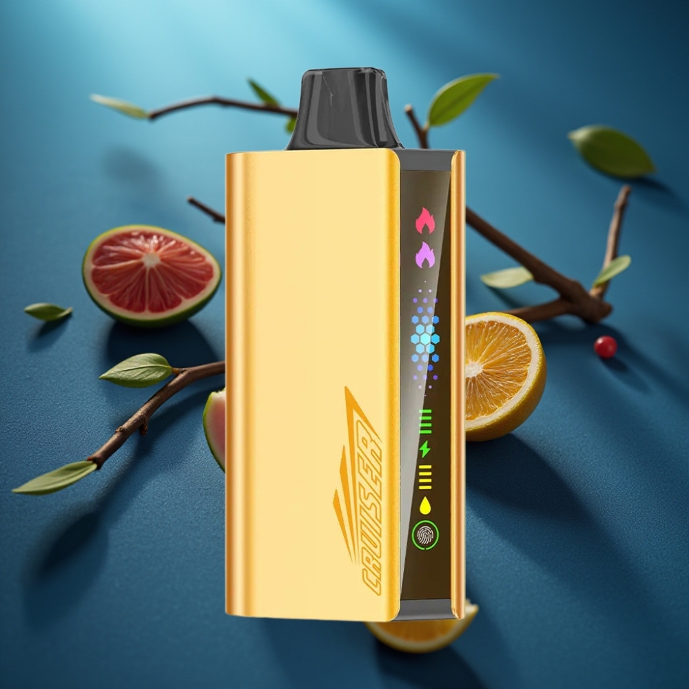 JNR Cruiser 12000 Puffs Disposable Vape Cool Fanta - شاحن مدمج، شاشة متحركة، جسم معدني