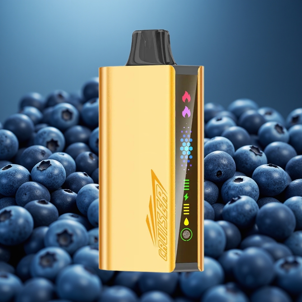 JNR Cruiser 12000 Puffs No-Charge Disposable Vape 3500mAh بلوبيري بلاست