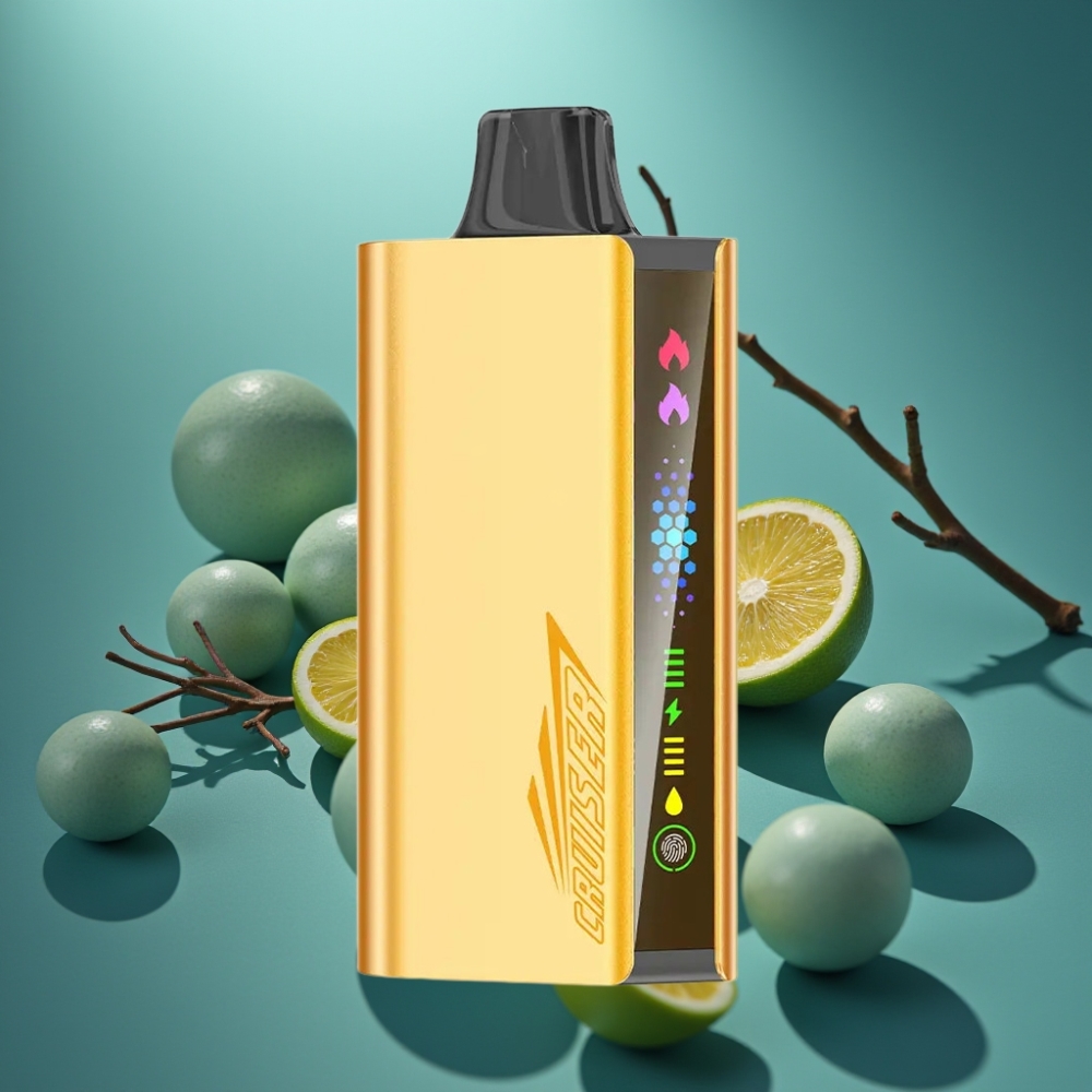 JNR Cruiser 12000 Puffs No-Charge Disposable Vape Cool Mint (نعناع منعش)