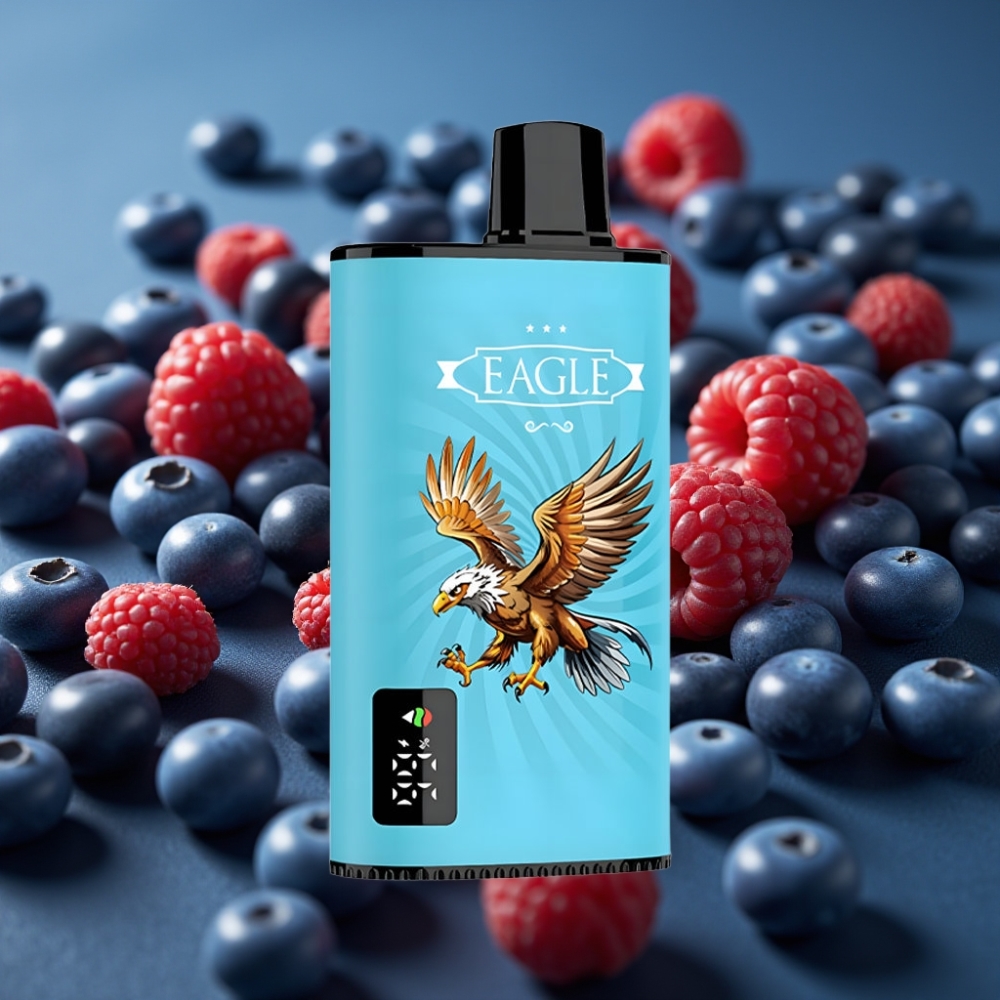 JNR EAGLE Smart 23000 نفحة - توت أزرق و توت عُلّيق حامض شاشة رقمية