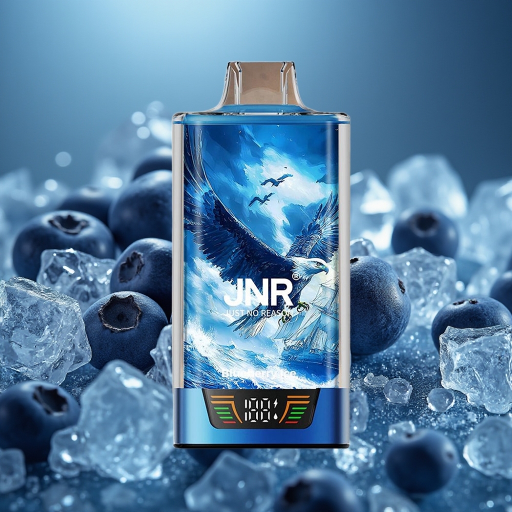 JNR Falcon Pro 28000 Disposable Vape - توت أزرق جليدي (Blueberry Ice) - 30ml - 950mAh
