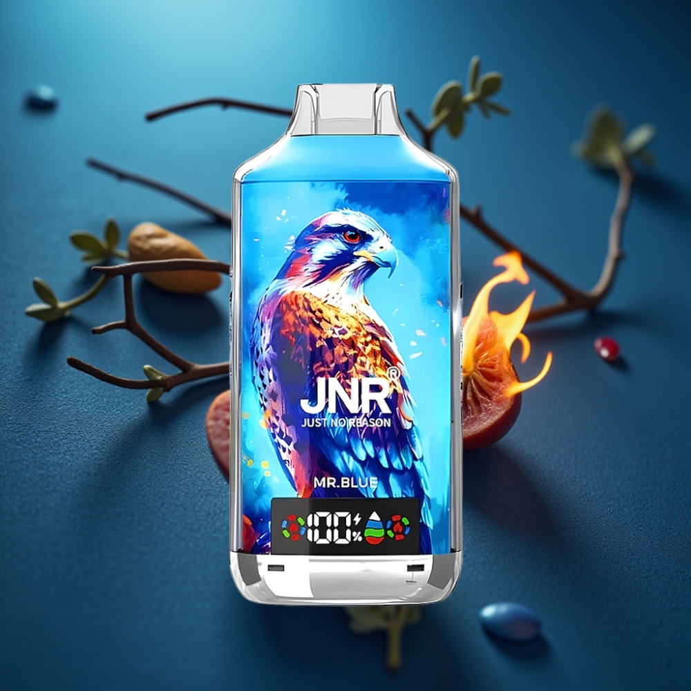 JNR Falcon X 18000 Puffs 24ml Dual Mesh Mr. Blue (الأزرق)