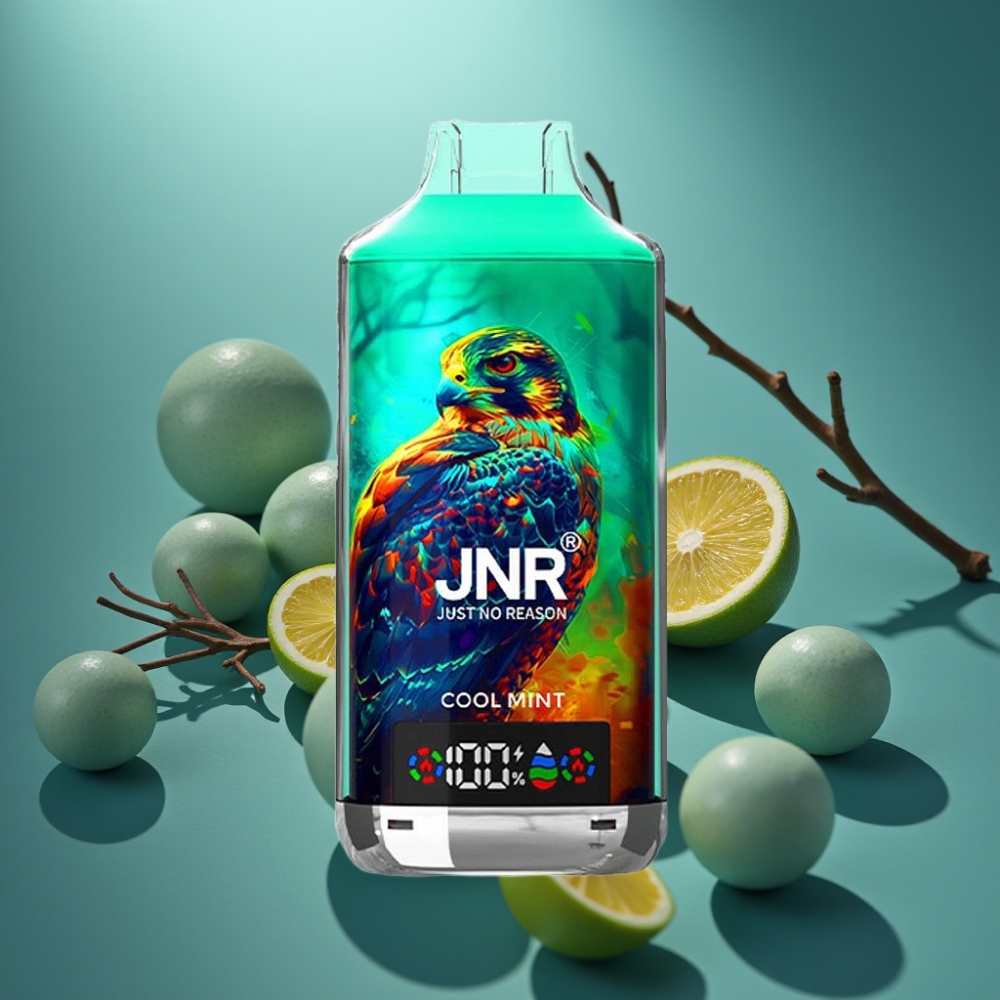 JNR Falcon X 18000 Puffs Cool Mint - Dual Mesh Coil - Type-C - 24ml
