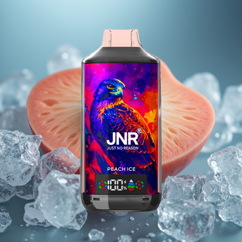 JNR Falcon X 18000 Puffs خوخ مثلج بشاشة رقمية وشحن سريع Type-C
