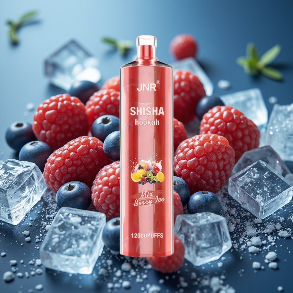 JNR Shisha Hookah 12000 نفخة بنكهة توت مثلج - 750mAh شاحن Type-C