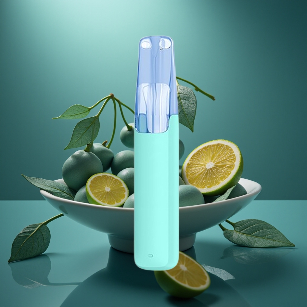Snowplus Dash 4000 Puffs جهاز قابل للتصرف سيراميك 7.5 مل منثول بلس