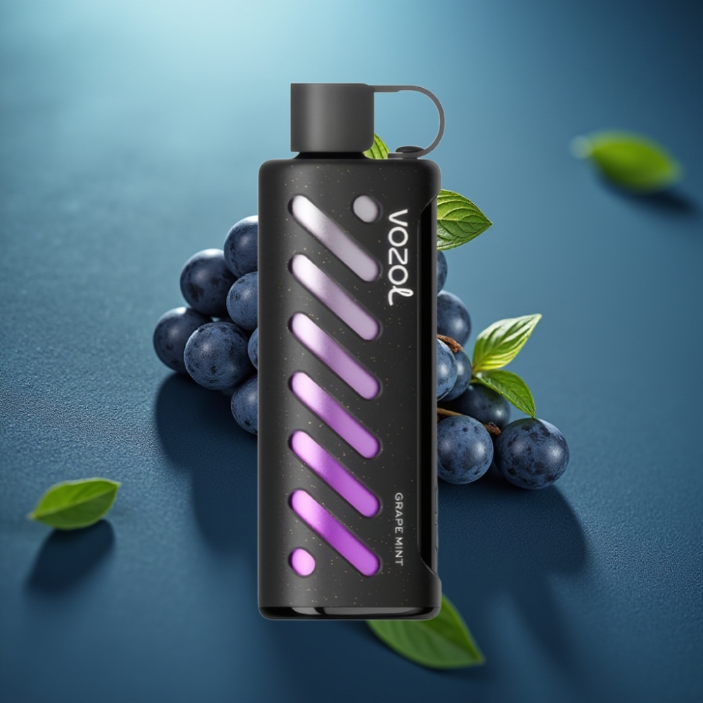 VOZOL Gear Shisha 25000 Puffs - عنب بالنعناع | 1000mAh | 5mg