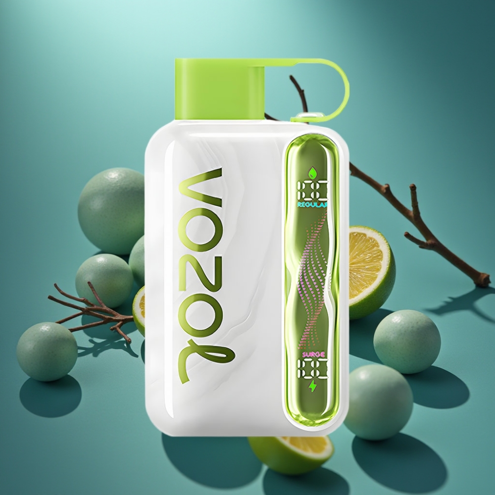 Vozol Star 40000 فايب تبريد النعناع - 1000 مللي أمبير، نوع-C