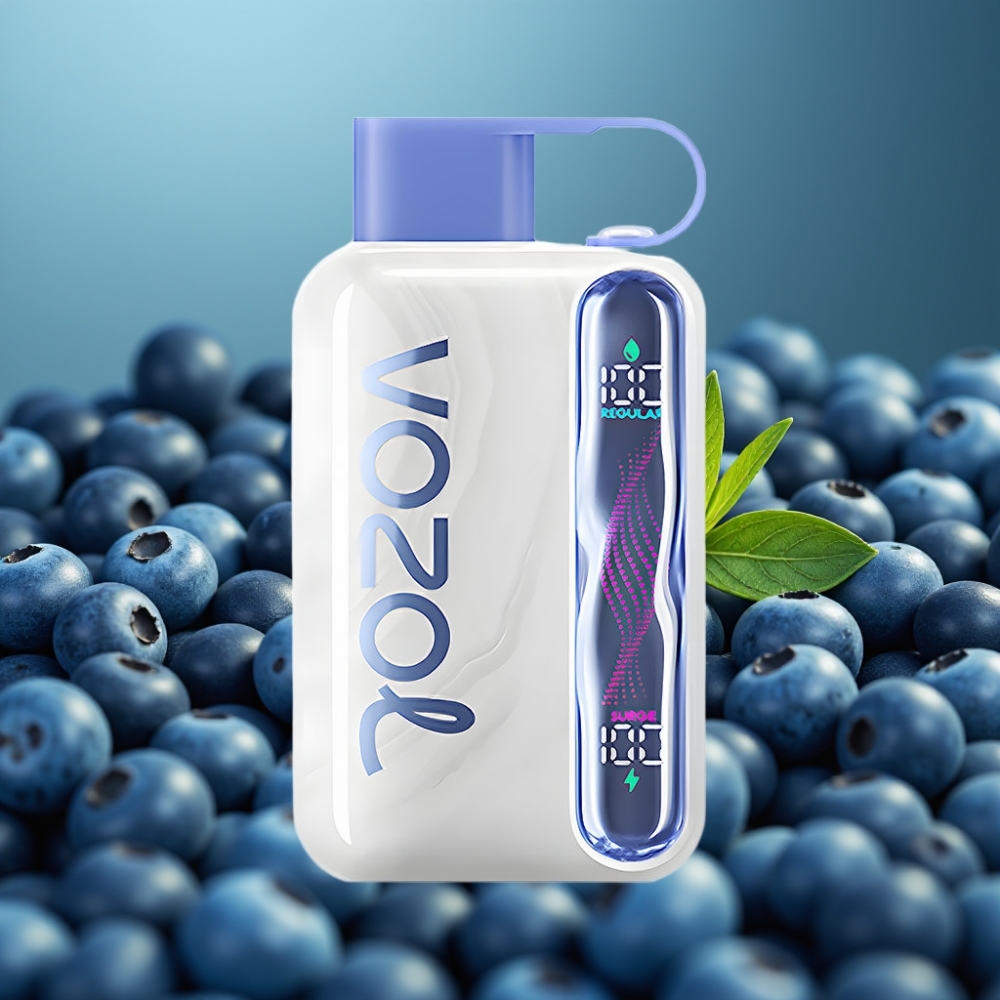 Vozol Star 40000 فايب - نعناع التوت الأزرق - 1000 مللي أمبير - شحن Type-C