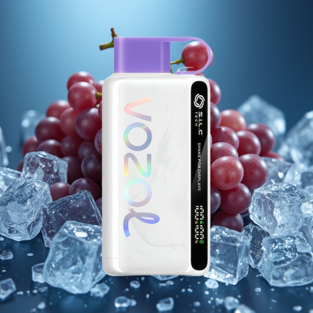 VOZOL STAR 9000/12000 جراب آيس عنب مع تقنية S.i.L.C وشحن سريع