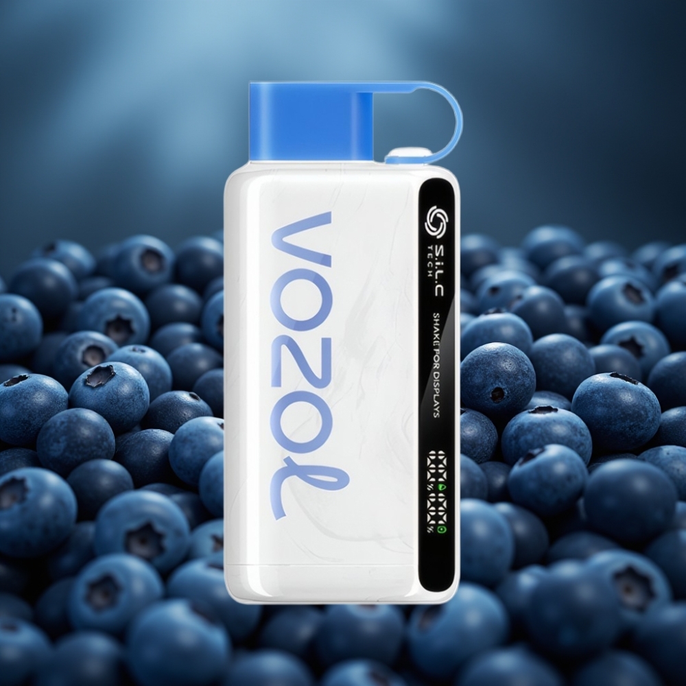 VOZOL STAR 9000/12000 عاصفة التوت الأزرق مع شاشة اهتزاز وشحن سريع