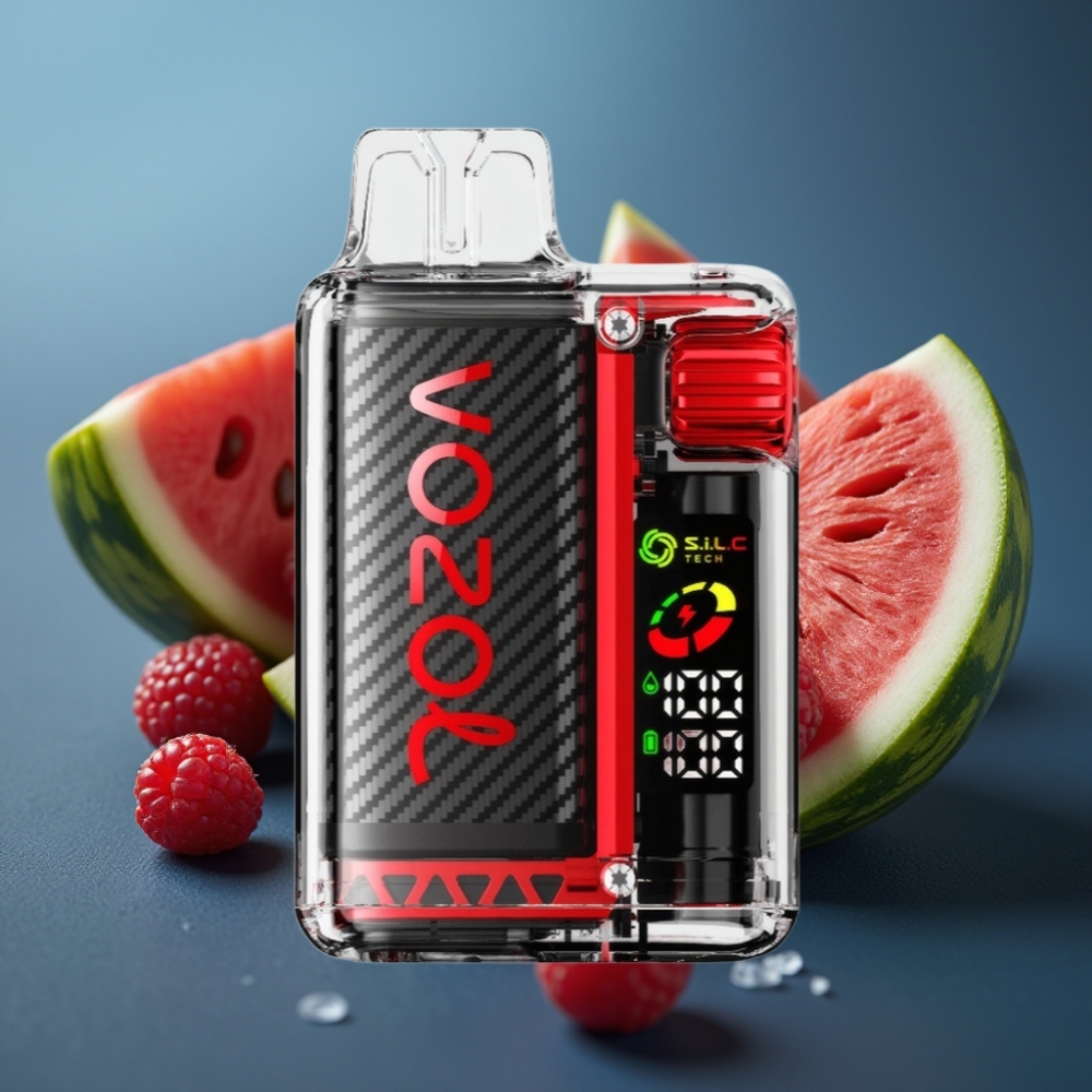 VOZOL Vista 20000 Puffs قابل لإعادة الشحن بطارية 650mAh OLED توت-بطيخ