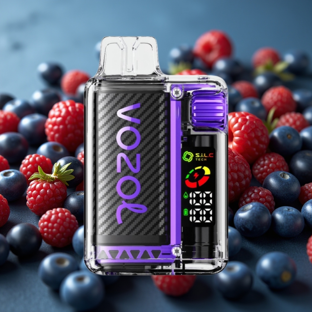 VOZOL Vista 20000 Puffs شريط التوت المختلط مع بطارية قابلة للشحن 650mAh وشاشة OLED