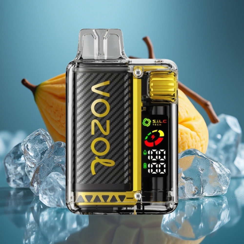 VOZOL Vista 20000 Puffs بشحن قابل لإعادة الاستخدام بطارية 650mAh مانجو آيس