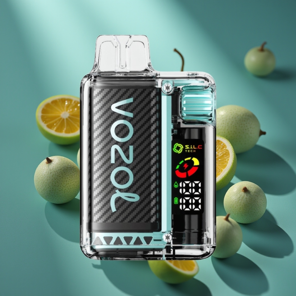 VOZOL Vista 20000 Puffs Miami Mint | 650mAh | 2% Nicotine | S.i.L.C Tech Dual Mesh